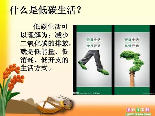 低碳生活与科技创新1200字(可持续未来：低碳生活倡导与科技创新)