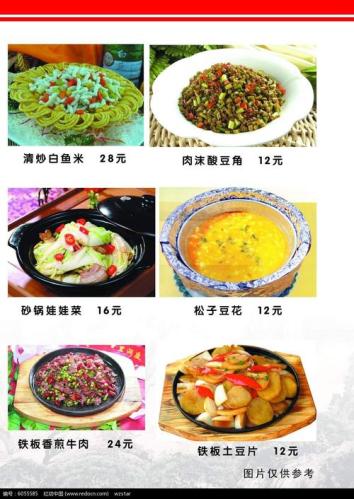 中国美食网菜谱大全窍门(中国美食大全：新手必学的菜谱攻略)