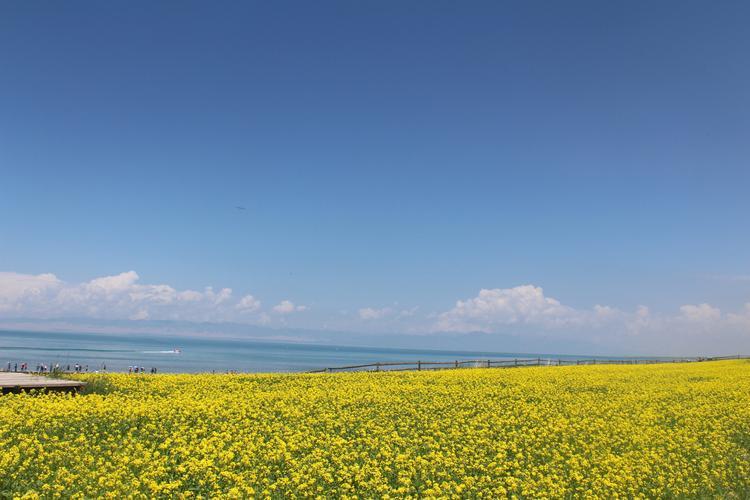 青海旅游景点(探访青海：最美旅游景点推荐)