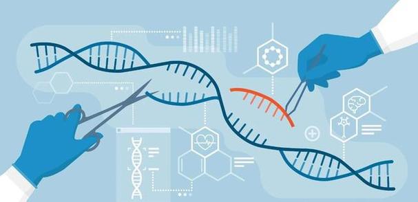 科技技术局(科技技术局发布新技术：改写DNA可加速基因编辑 -- 科技技术局发布基因编辑新技术)