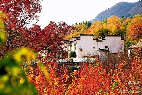 适合秋天旅游的地点(秋游胜地推荐：8个宜人秋景风光美处)