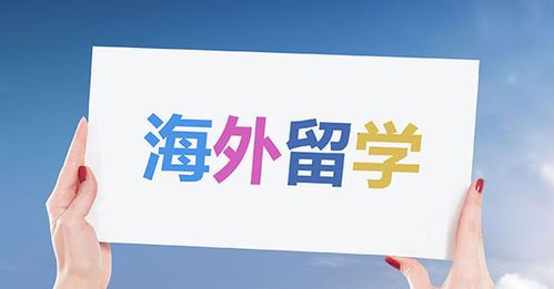 出国留学中介哪个最好(最佳出国留学中介推荐：哪家更受青睐？)