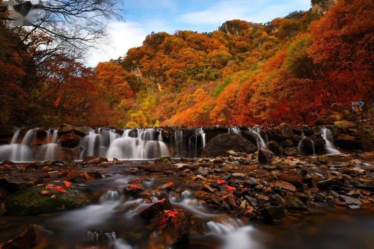 秋季旅游国内最佳之地(揭秋季旅游国内最佳打卡地，尽享绝美秋色！)