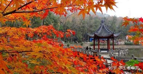 10月份最适合旅游的城市(推荐：十月最佳旅游城市  让你度过愉快的旅行)