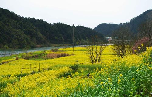 3月旅游最佳去处(3月旅游推荐：寻找春天的最佳去处！)