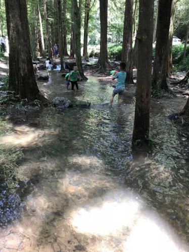 暑假带孩子去哪里旅游最凉快(享受清凉，带孩子哪里旅游最舒畅？)