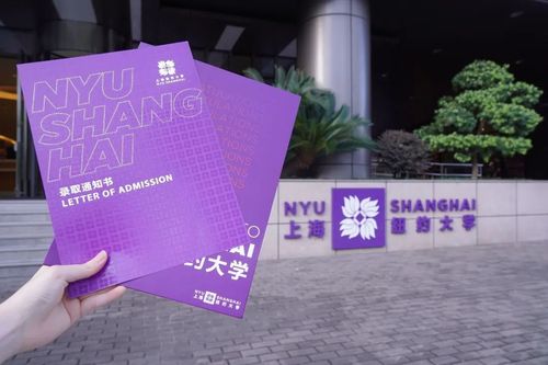 上海纽约大学(上纽大上海：创新教育点亮未来)