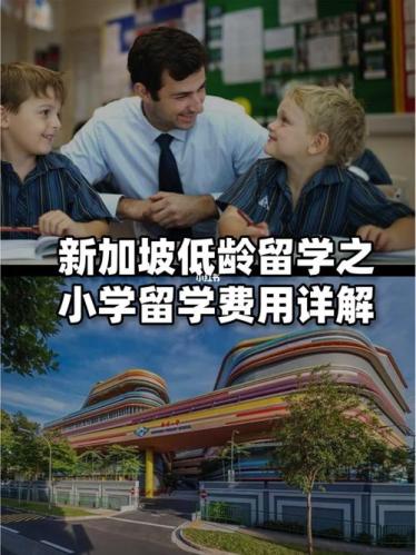 新加坡小学留学一年费用(新加坡小学留学一年的费用是多少？)