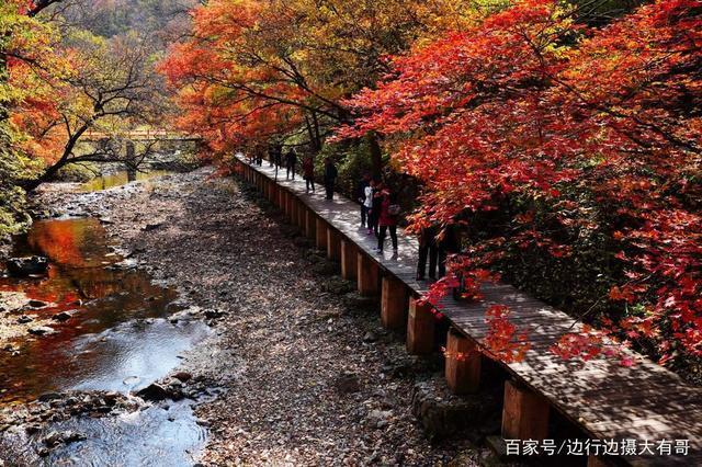 现在这个季节去哪里旅游最合适(现在哪里旅游最适合？赏秋约起来！)