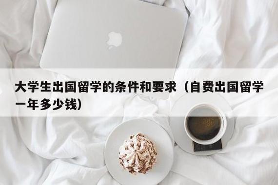 出国留学条件(出国留学的要求和条件。)