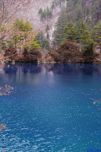 3月份旅游的最佳地方(最佳旅游地点：3月份哪里最值得去？)