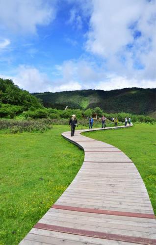 7月份去哪里旅游最合适(7月旅游热门地推荐)