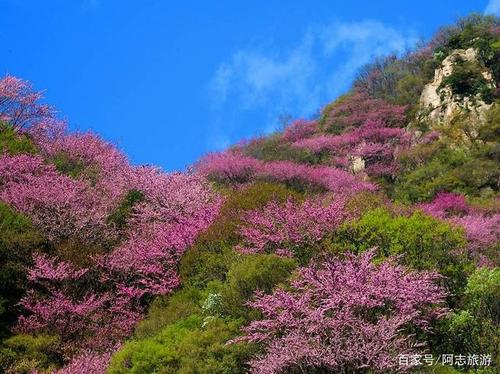 4月份旅游景区哪里好玩一些(四月旅游胜地推荐，让你玩得尽兴！)