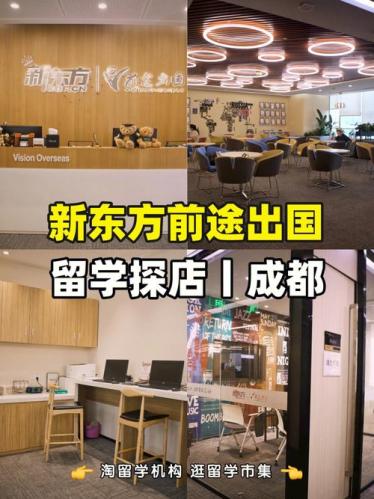 出国留学咨询新东方官网(新东方出国留学顾问，为您提供专业留学咨询)