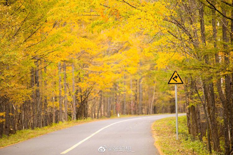 一路风景一路心情句子(沿途风景扣人心弦，一路畅想心情如诗)