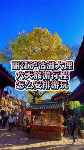 大理当地报团旅游团(大理：跟随报团游玩不必愁，旅游团为你悉心打造)