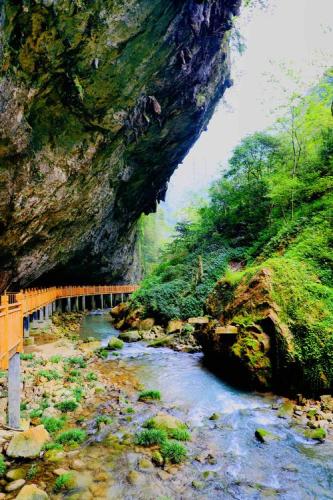 张家界旅游必去景区(张家界旅游热门必游景点推荐，完美体验自然风光！)