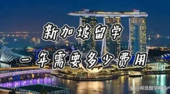 新加坡留学费用(新加坡留学费用：学费、生活费、签证费用等全面解析)