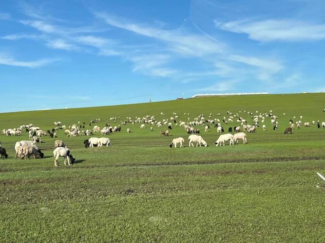 内蒙旅游景点(探索内蒙古旅游胜地，领略大草原的风情)