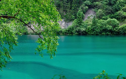 7月份旅游的最佳地方(七月旅游必去景点推荐)