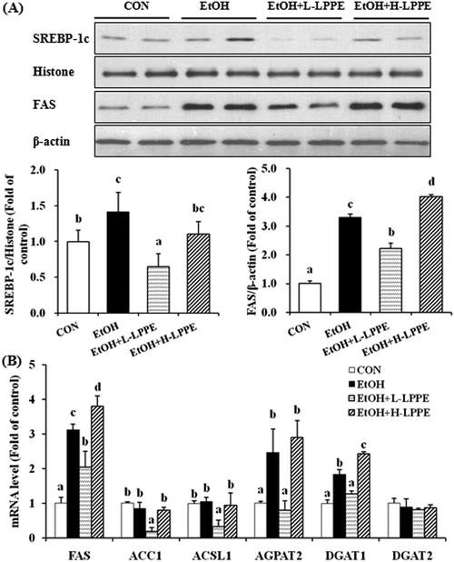 科技论文标准格式示范(示范：A Study on the Effect of Social Media on Mental Health among Adolescents重写后：Social Media's Impact on Adolescent Mental Health)