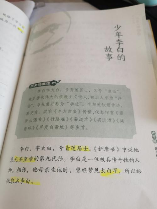 关于历史的故事(从古老的故事中发现个人的成长和意志力：一个勇敢的少年的故事。)