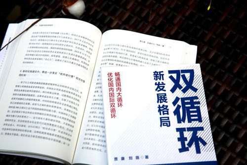 科技霸权(重新定义科技领导地位的未来：挑战与机遇)