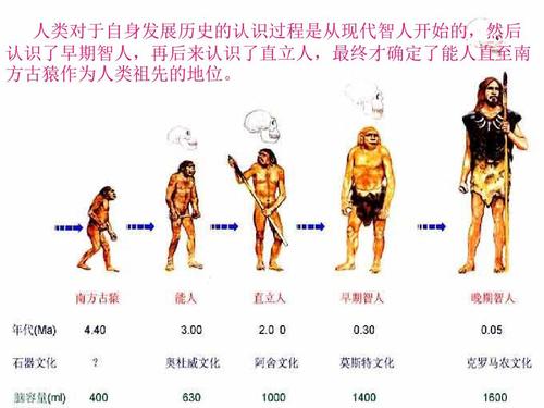 人类历史年代表(人类历史年代表：从原始社会到现代文明)