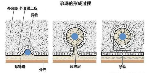 历史文化沉淀的美句(历史长河中的珍珠 重写为新标题：珍珠般闪耀的历史之光)