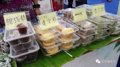 万宁的美食民俗文化(万宁美食民俗文化盛宴)