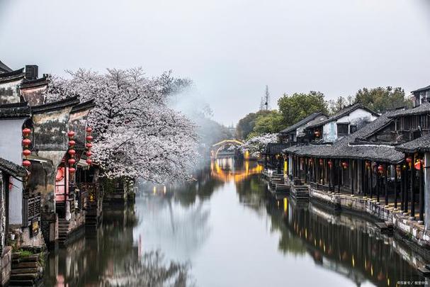 苏杭几月份去旅游最好(最佳旅游时间：苏杭最适宜哪个月？)