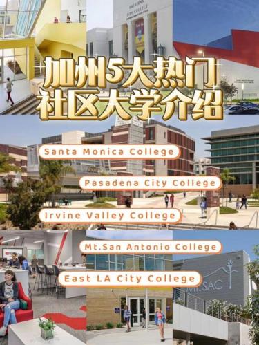 南加州大学(南加州大学研究人员：长期饮用茶可以改善认知功能)