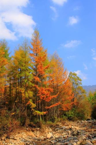 10月份适合旅游的景点(十月旅游好去处，推荐这些风景区！)