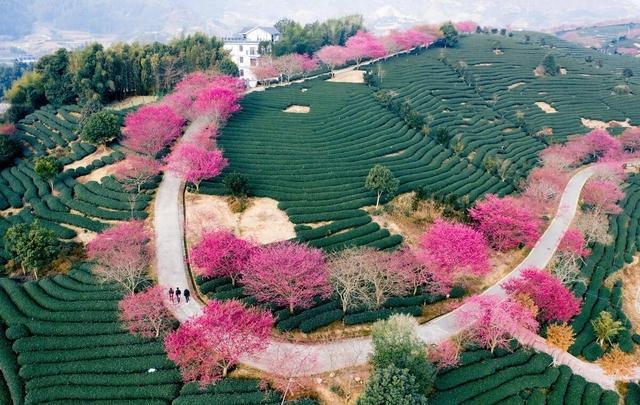 2月份适合去哪里游玩(二月出游好去处，这些地方推荐！)