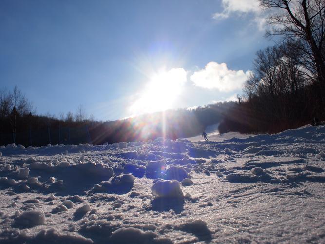 2月份去哪里旅游最好(2月出游 雪乡、冰雕、滑雪一网打尽，这些地方最适合过个冬天)