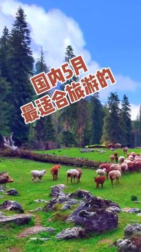 5月适合去哪里旅游(五月旅行去哪儿？推荐五个适合的目的地！)