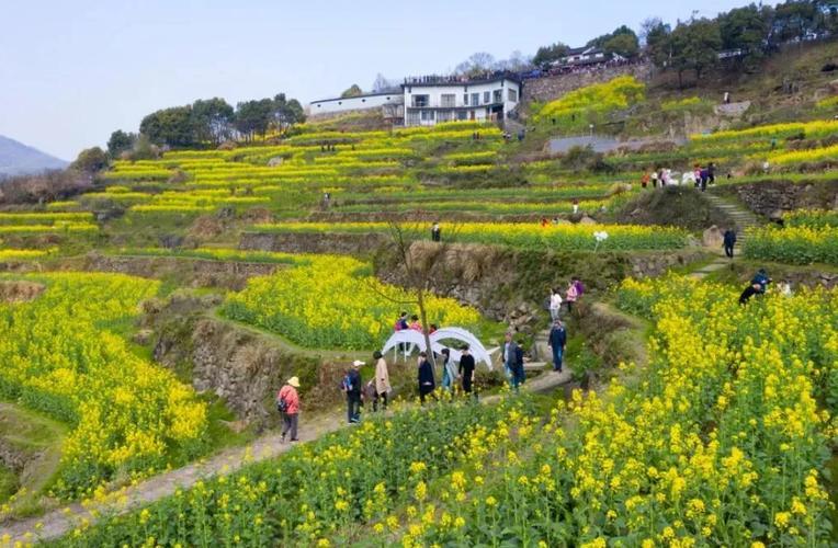 春节自驾旅游最佳去处(“春意盎然，自驾春节长假，这里是最佳去处！”)